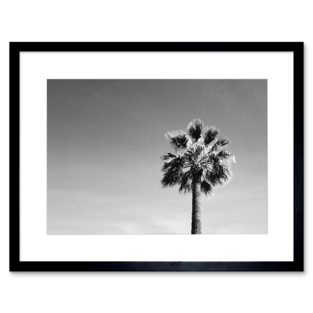 "Palm Tree Summer Sky Black White Photograph 9x7"" Black Framed Wall Art Print"