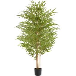 Artificial Plant - bamboo grass, realistic look, low-maintenance Green green 50 x 50 x 180 cm 1