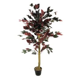 120cm (4ft) Artificial Dark Red Green Ficus Plant - Extra Large Red 4ft