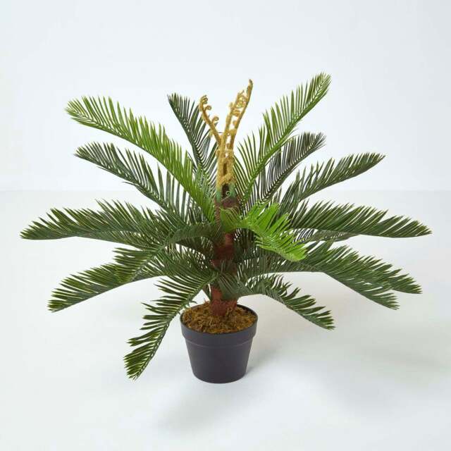Homescapes Green 'Sago Palm' Artificial Cycas Plant with Pot, 75 cm