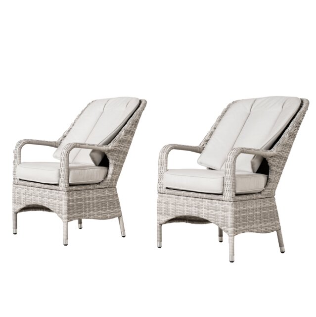 Direct Wicker 2-Piece Outdoor PE Rattan Dining Chairs, White and Grey