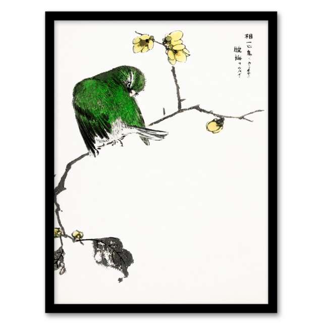 Numata Kashu Framed Wall Art Print Fairy Pitta and Japanese Allspice Home Décor