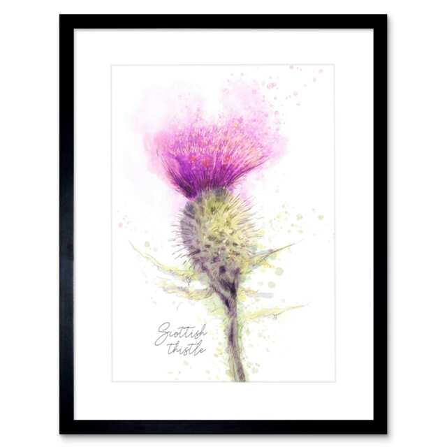 "Scottish Thistle Flower Bloom Watercolour 9x7"" Black Framed Wall Art Print"