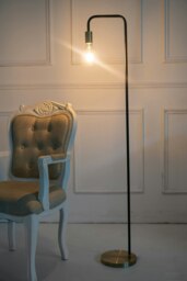 Caitlin Antique Brass and Black Floor Lamp with an industrial style Finish Black