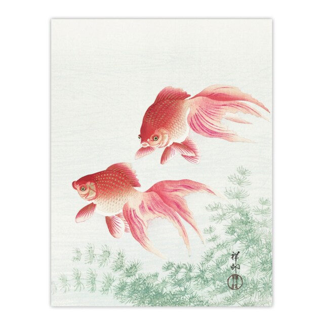 "Two Veiltail Goldfish in Pond Vintage Japan Wall Art Print Koson 18x24"""