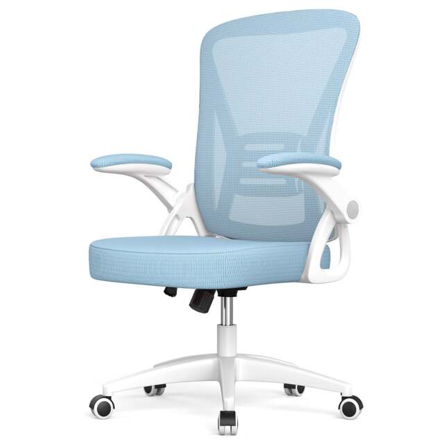 Rattantree Ergonomic Office Chair with Flip Up Armrests & Lumbar Support