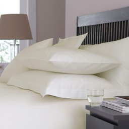 Percale Classic Pillowcase Cream Cream