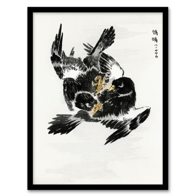 "Jungle Nightjar Bird Fight Japanese Vintage Framed Wall Art Print Kashu 12x16"""