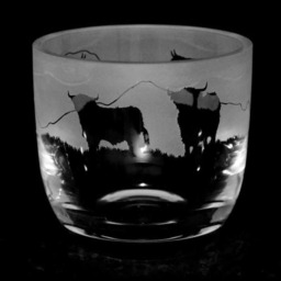 Animo Glass Candle Holder Engraved Pot Highland Cattle
