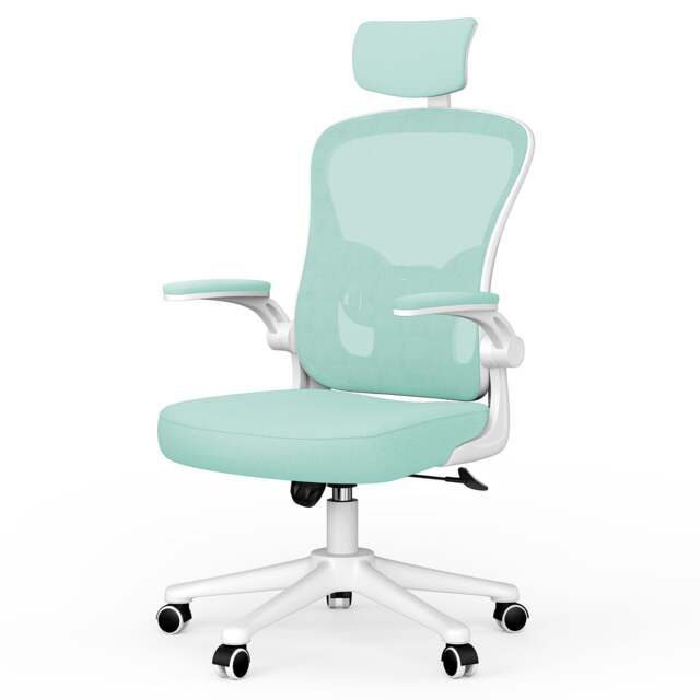 Rattantree Ergonomic Office Chair With Headrest & Lumbar Support