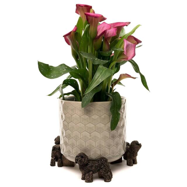 Potty Feet - Bronze - Bichon Frise Garden Décor Multi