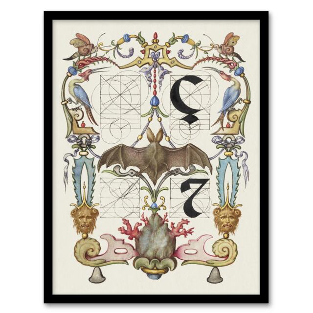 "Pictoral Letter Guide with Bat Calligraphy Framed Wall Art Print 12X16"""