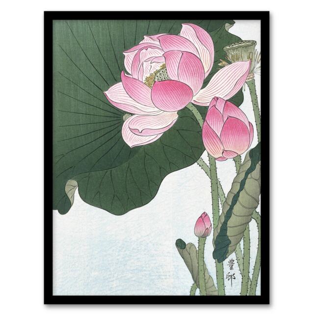 "Blooming Lotus Flowers Vintage Japan Framed Wall Art Print Ohara Koson 12x16"""