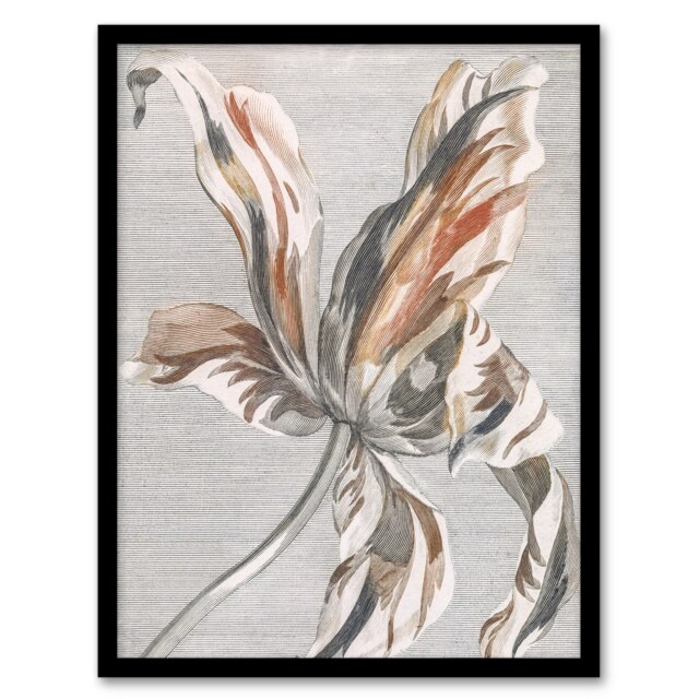 "Tulip Flower Bloom Floral Painting Teyler Framed Wall Art Print 12X16"""
