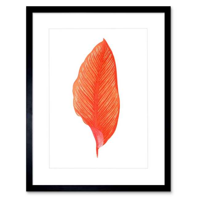 "Pink Orange Calathea Ornata Leaf Botanical Plant Lover 9x7"" Black Framed Wall Art Print"