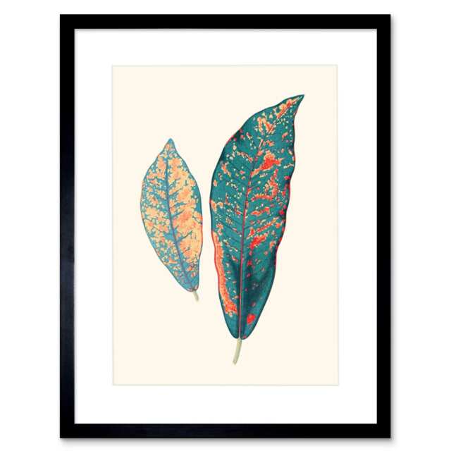 "Vintage Botanical Spotted Croton Leaf Plant Lover 9x7"" Black Framed Wall Art Print"