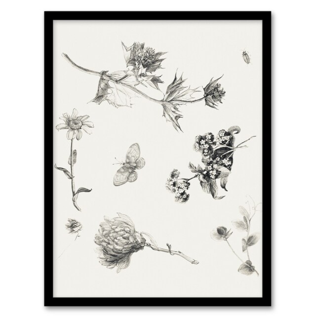 Theo van Hoytema Framed Wall Art Flowers Leaves and Butterfly Drawing Home Décor