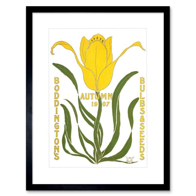 "Boddingtons Bulbs Seeds Autumn 1907 9x7"" Black Framed Wall Art Print"
