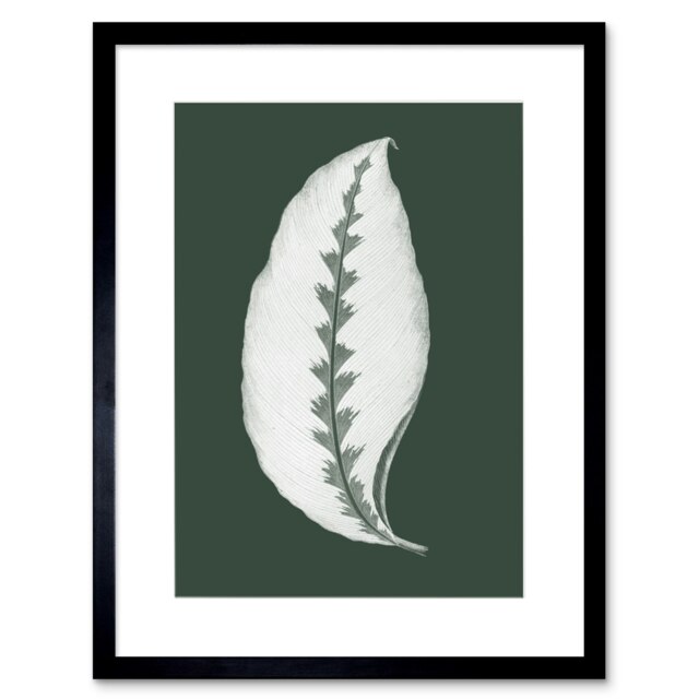 "Botanical Black White Jungle Leaf Plant Lover 9x7"" Black Framed Wall Art Print"