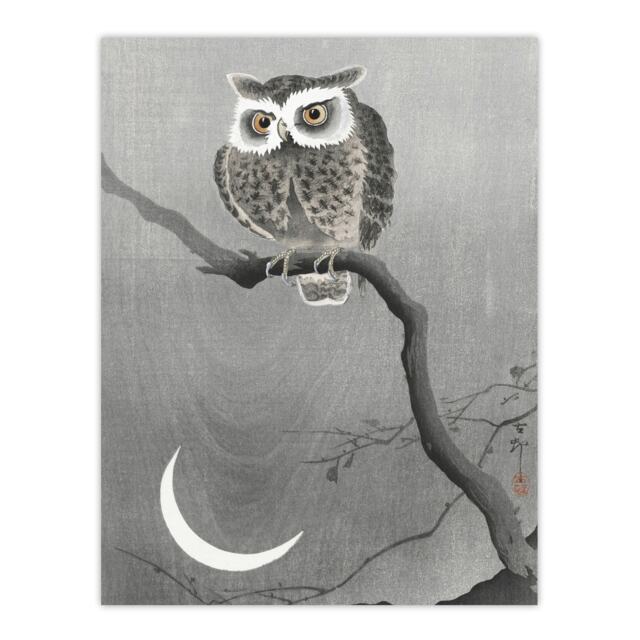 "Long Eared Owl On Tree Branch Vintage Japan Wall Art Print Koson 24x32"""