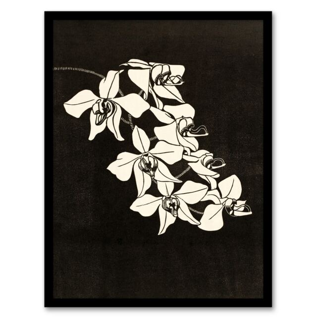 "Black and White Orchid Flower De Mesquita Framed Wall Art Print 12X16"""