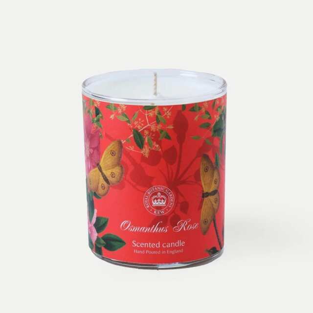 Kew Garden Soy Wax Candle 170g - Osmanthus Rose KWQ170-C02 (disc) Multi