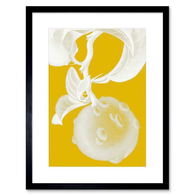 "Exotic Fruit Orange Botanical Plant Lover 9x7"" Black Framed Wall Art Print"