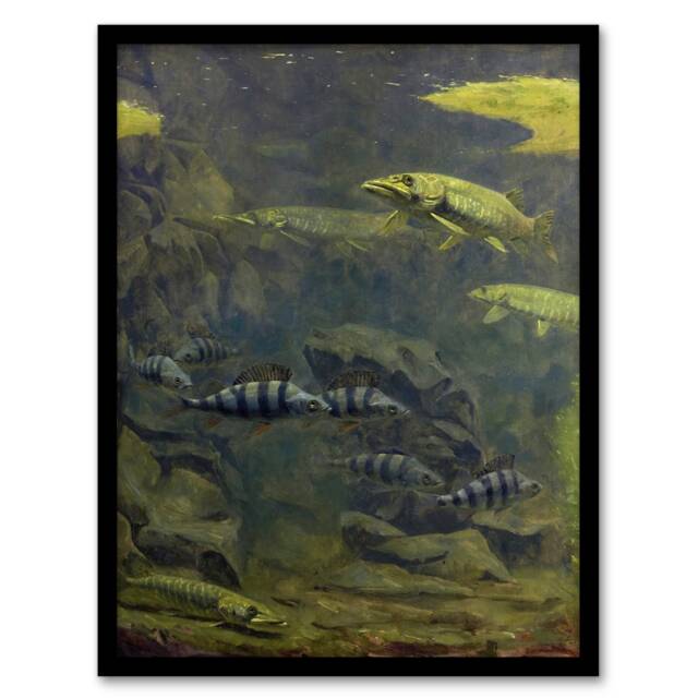 Gerrit Willem Dijsselhof Framed Wall Art Pike and Perch in Aquarium Home Décor