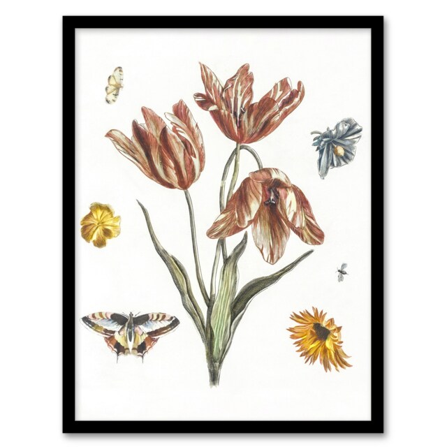 "Flowers Butterflies And A Fly Johan Teyler Framed Wall Art Print 12X16"""