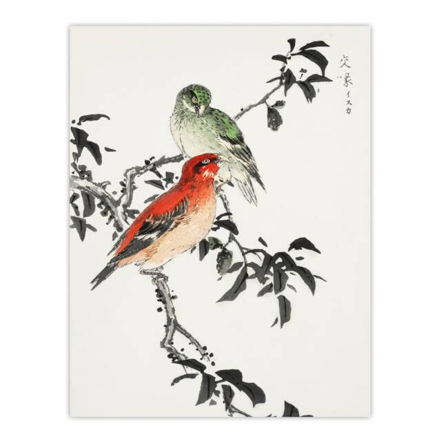 "Crossbill Birds Japanese Vintage Japan Wall Art Print Kashu 18x24"""