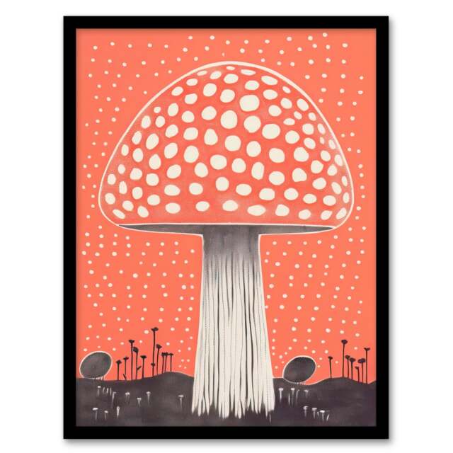 Fairy Fungi Toadstool Fly Agaric Coral Home Decor Black Framed Wall Art Print A4