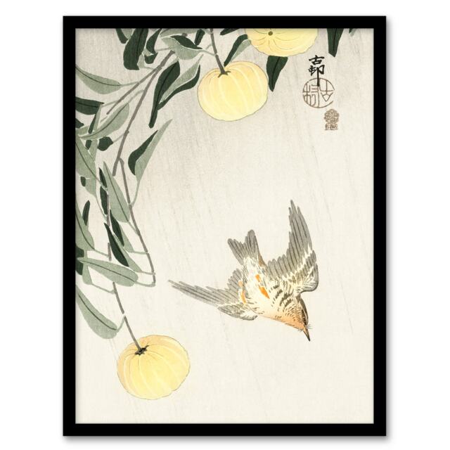 Ohara Koson Framed Wall Art Print Cuckoo In Early Summer Rain Home Décor