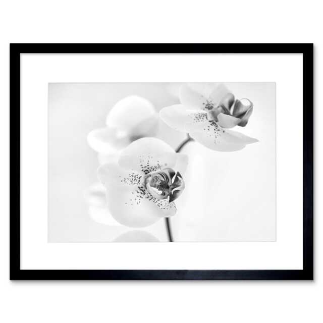 "Photo Nature Plant Orchid Flower Black White 12x16"" Framed Wall Art Print"