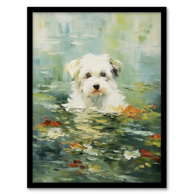 Havanese Dog Water Lilies Claude Monet Style Black Framed Wall Art Print A4