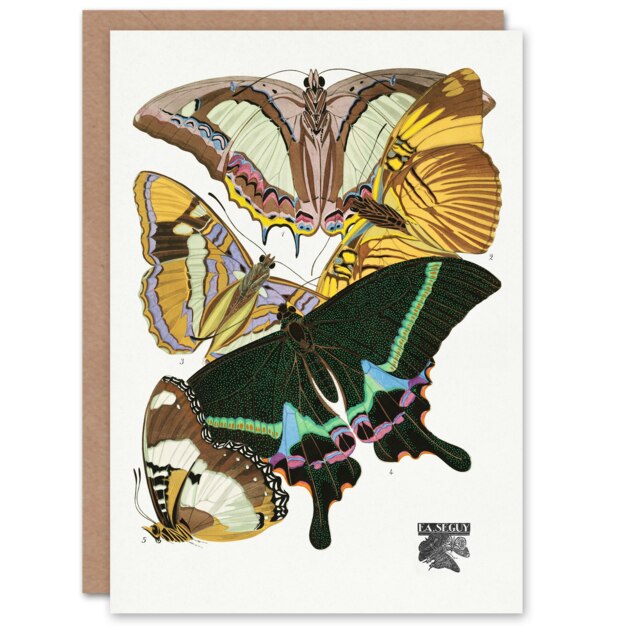 Eugene Seguy Art Card Bright Vintage Butterflies Papillons