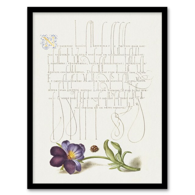 "Ladybird and Wild Pansy Calligraphy Framed Wall Art Print 12X16"""