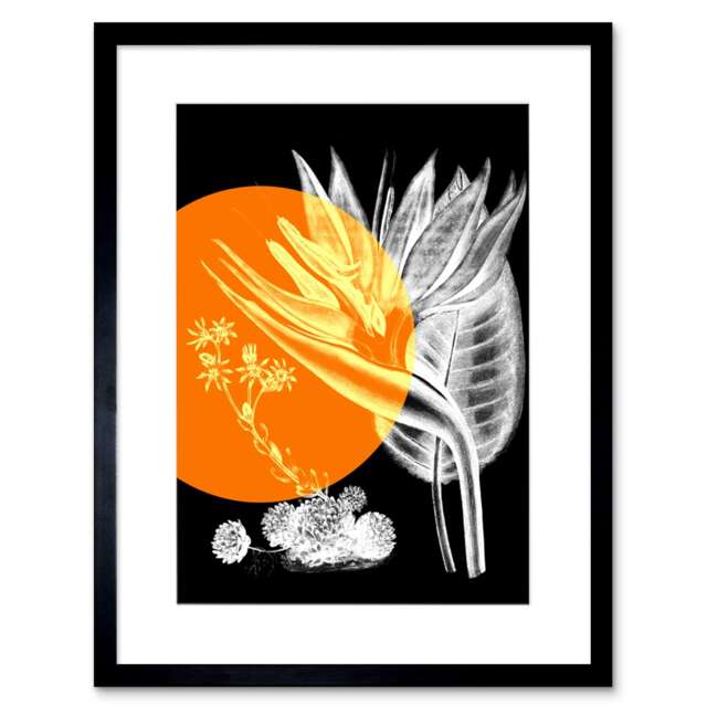 "Orange Colour Pop Circle Bird Of Paradise Flower Modern 9x7"" Black Framed Wall Art Print"