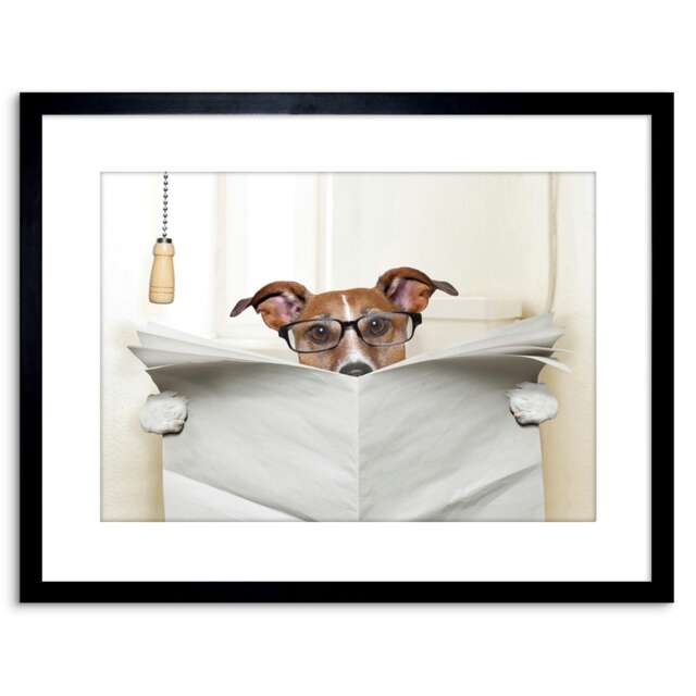 "Photo Mock Jack Russell Toilet Reading Newspaper 9x7"" Black Framed Wall Art Print"
