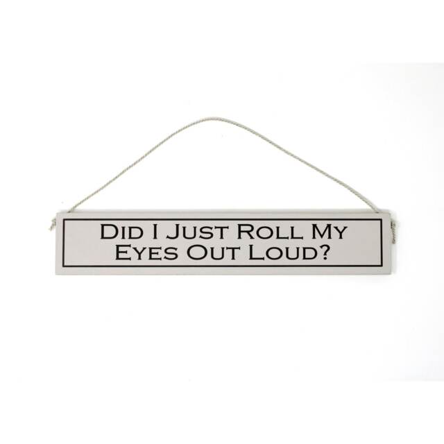 Wit With Wisdom Wooden Hanging Sign - Did I Just Roll My Eyes