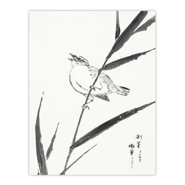 "Reed Bunting and Reed Japanese Japan Wall Art Print Numata Kashu 18x24"""
