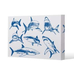 Graphical set of blue sharks isolated on white background (Canvas Print)
