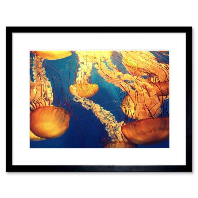"Jellyfish Group Underwater Ocean 9x7"" Black Framed Wall Art Print"
