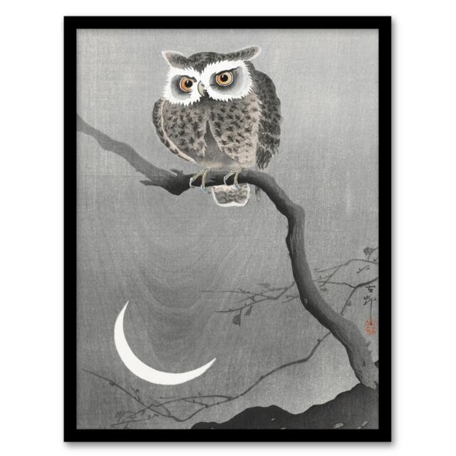 Ohara Koson Framed Wall Art Print Long Eared Owl On Tree Branch Home Décor