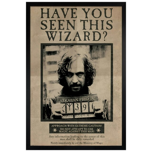 Black Wooden Framed Harry Potter Wanted Sirius Black Maxi Poster Multi