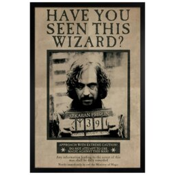 Black Wooden Framed Harry Potter Wanted Sirius Black Maxi Poster Multi