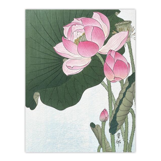 "Blooming Lotus Flowers Vintage Japan Wall Art Print Ohara Koson 18x24"""