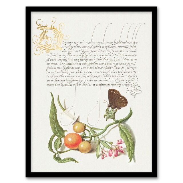 Model Book of Calligraphy Framed Wall Art Butterfly Cherries and Milkwort