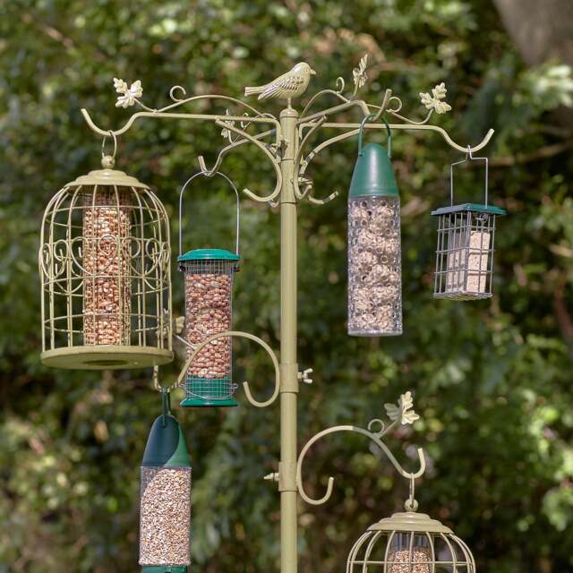 Peckish Antique-Style Metal Bird Dining Station with Six Hooks Green Decorative design with multiple feeder hooks and a water bowl 1 x Station
