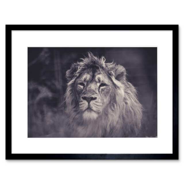 "Male African Lion Big Cat Lover Nature Photograph 9x7"" Black Framed Wall Art Print"