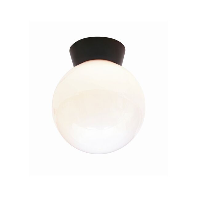 York Outdoor Globe Ceiling Light Black IP44